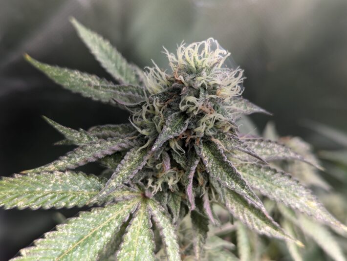 58d42603-d747-4a60-821d-e2742ee4de53