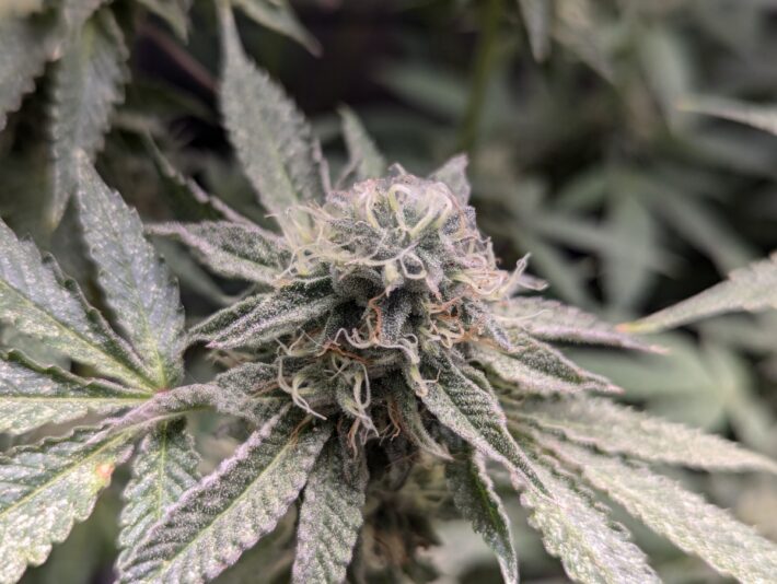 0f2aa0f6-b611-47c1-a29c-3640c20d69de