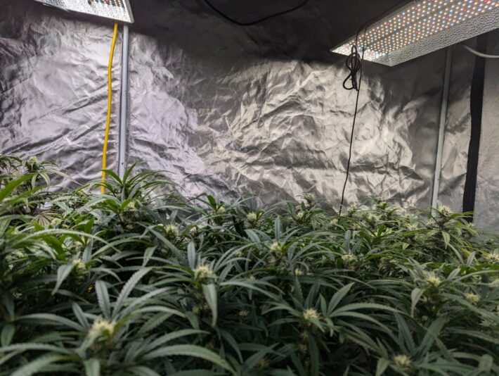 15614176-9616-4ddf-be1f-d3f976e7624c