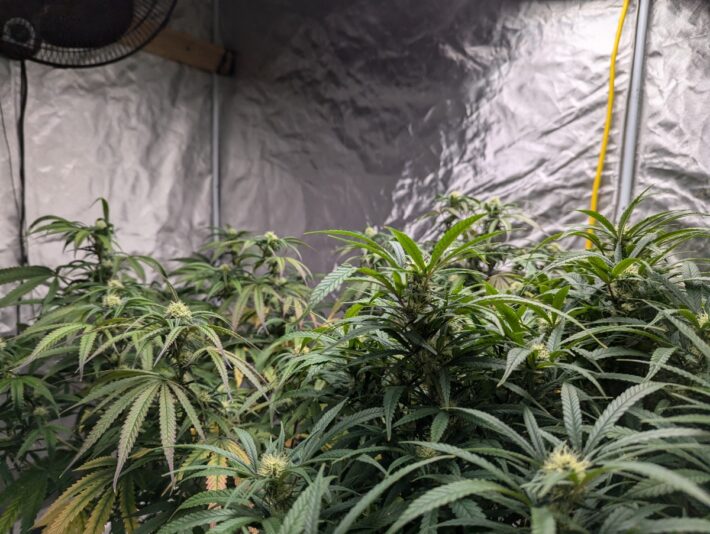 18eb7d56-0621-43cc-aa3e-de16622d116e