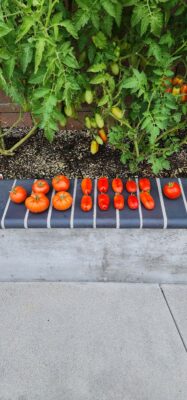 515b77a6-1610-4d1b-92b1-cd3a3c05afeb