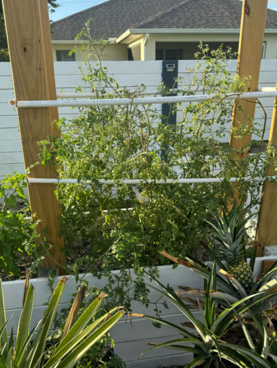 BE3ED7DC-983D-48A4-BD14-D90EFF015EBF