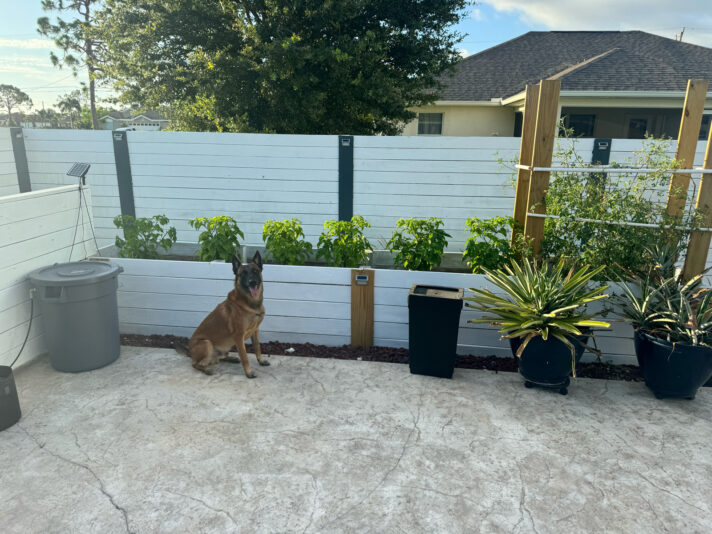 AFC4C0C1-9AA9-4435-9580-A5F796FE054B