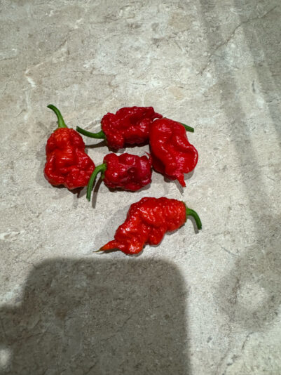 8E941A8B-C0CF-4967-9B20-488B45C3D7D8