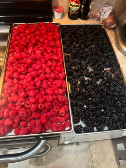 DC943D4D-95B6-41EC-84AE-AAD981EFE230