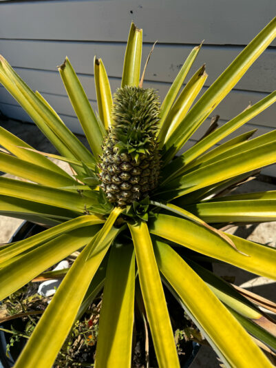 E726AD2C-5E3A-4562-BE57-0F4ABE87F372