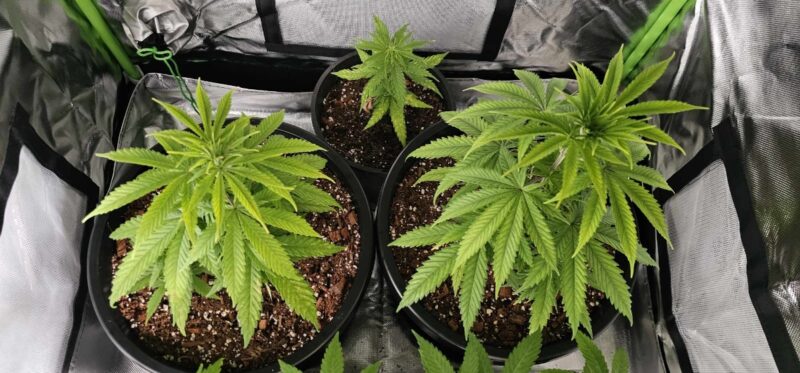 f4d7f67d-7a70-459d-91bc-a44be0634d3c