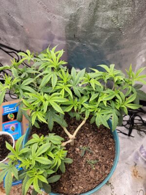 be5f9e2e-5cb9-4427-bdb1-b6dfce4cf02e