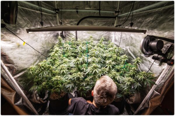 bcba7ac0-4ea5-4428-8c3a-4e481cc149db