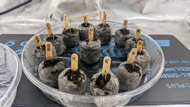 3b73adbd-b06d-4e8d-9909-ad7457becfae