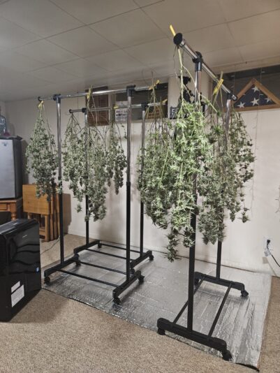 d89fdd76-0b4b-43f5-bd69-a3a011f3dc93