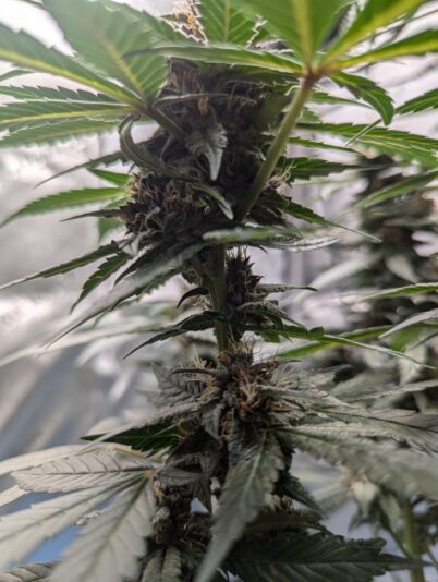 20ce5a3e-9773-4c01-947e-5284ac50b5b5