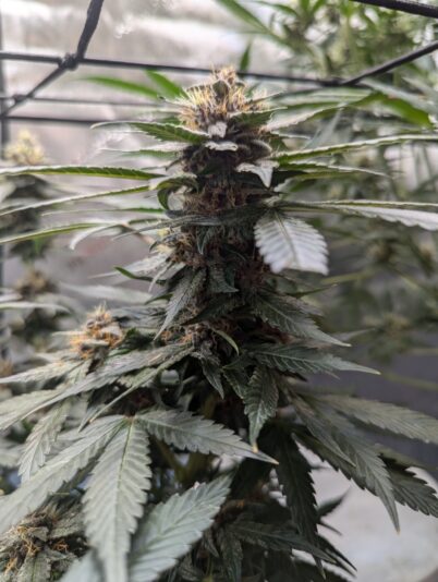 5a06a094-0b0c-48cc-81e9-5d9385a04f4c