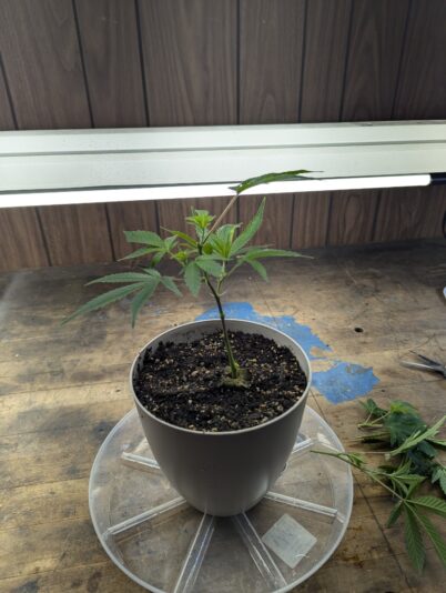 4e709e86-d842-4774-8ba9-bfda7de4d0e9