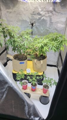 f46be8cb-46cf-49b0-8eef-405c7aa2db04