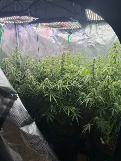 D537ED3D-D8C1-461B-9E02-D3E625399E9B