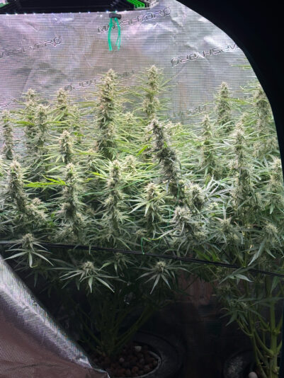 D8EE93FA-116D-4FE6-A830-CD540DFE99DD