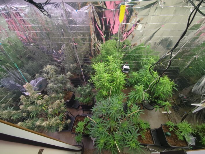 50f1a8c3-c1e2-40a9-85cf-767b2ae40e20