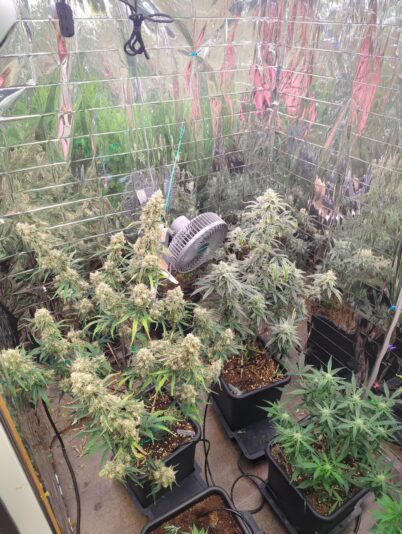 266301f7-7349-49a0-a2c5-5b377c0a1bef