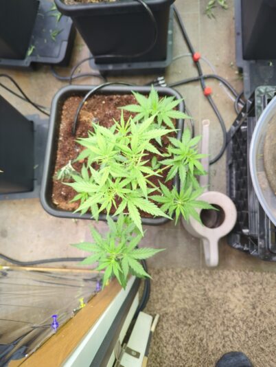 3c247a6c-41d4-41b2-8356-55c1ed9ced78