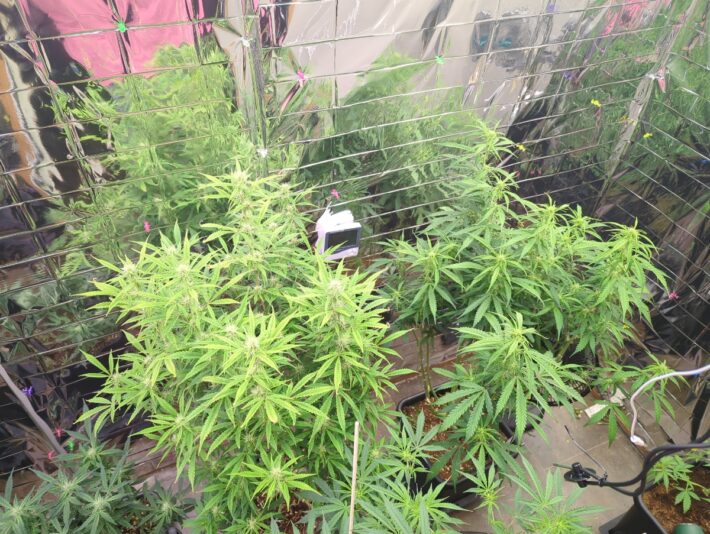 475bf9bf-cf3d-45b1-9954-e13455606273