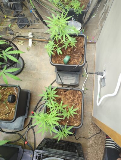 f0fae918-8c88-4d83-ab82-2ef04589933e