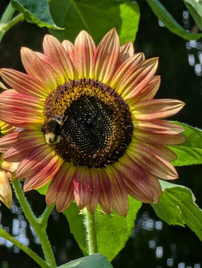 37ea4680-fcb1-482a-a22c-5684f284f278