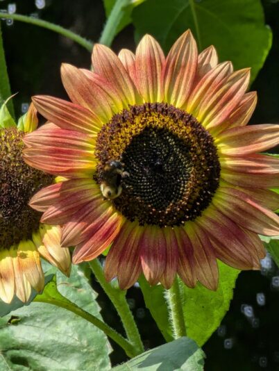 c0323b28-bb7a-463e-a464-e4830b463017