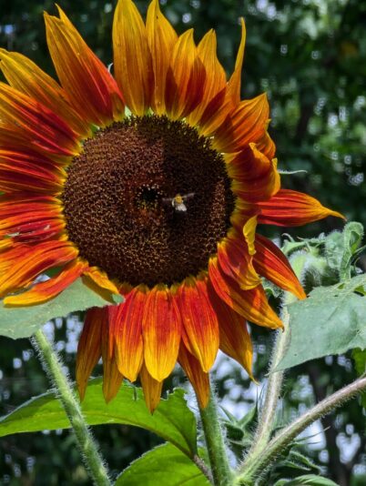 de577ed9-8de1-4b07-949f-3ec16ebfc78f