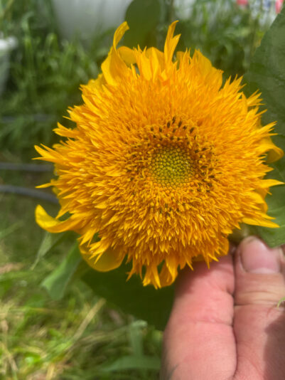 6692179C-8A9A-4AA0-A867-245EB4DD2A6B