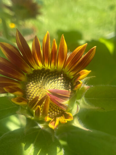 A38F09A7-79B2-487A-B090-CCE49CB99A8A