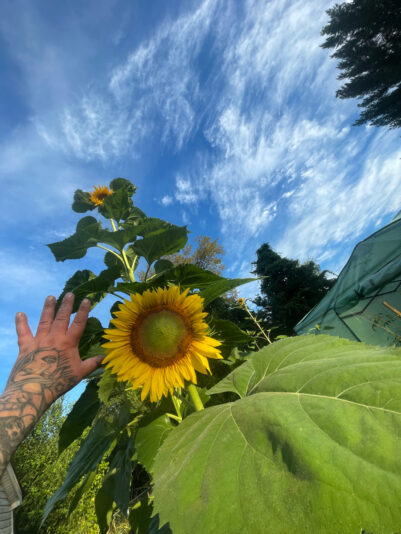 1536EC34-DF15-4A69-8014-77F93E92FDFA