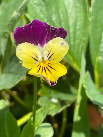 482A8718-8BCB-41F1-A810-D6E987B2A974