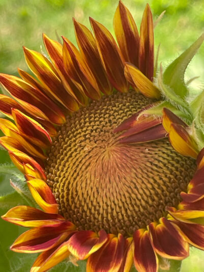 B9AFCAB9-D545-4EFE-9463-15FB43D88062