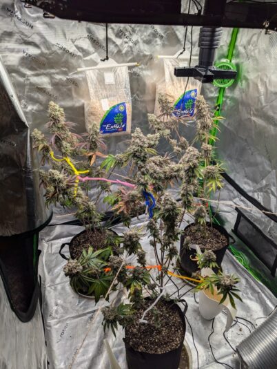 696276be-97d2-4771-b671-e0efb6c370a0