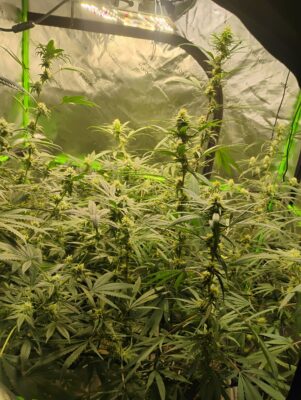 5b49be25-7f43-4e00-8a84-5a81787939a4