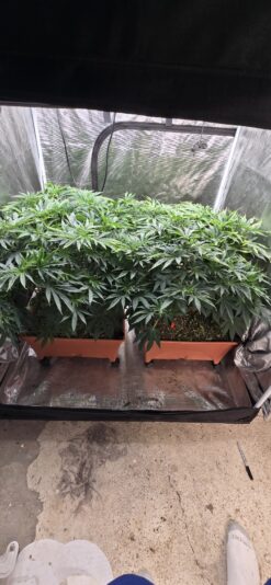 7e4cc06b-42aa-48f5-9a5b-525c35789bbd