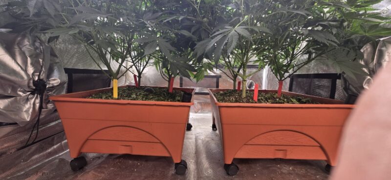 b1b1d0d4-c688-4610-a7ee-c1b86ce01c86