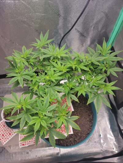 4957097a-89f1-4654-a9f5-0fcbf7a9e3c2