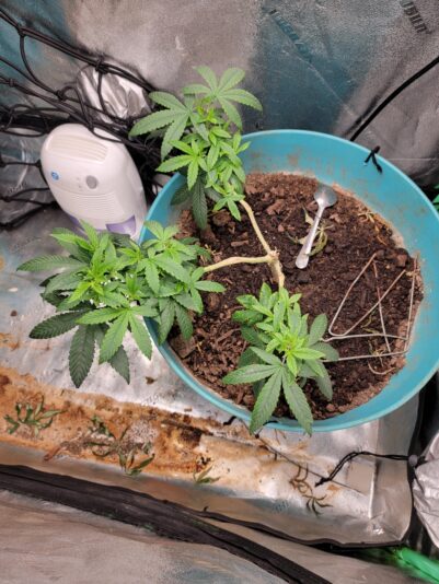 d5c5d91b-a13a-489e-ab69-bef6bc913de3