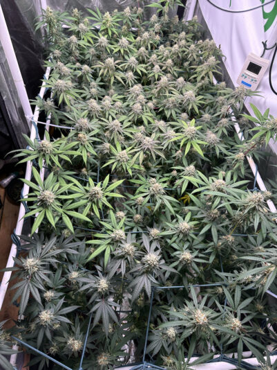 94543305-C781-439C-B2DA-78759CA4E7B4