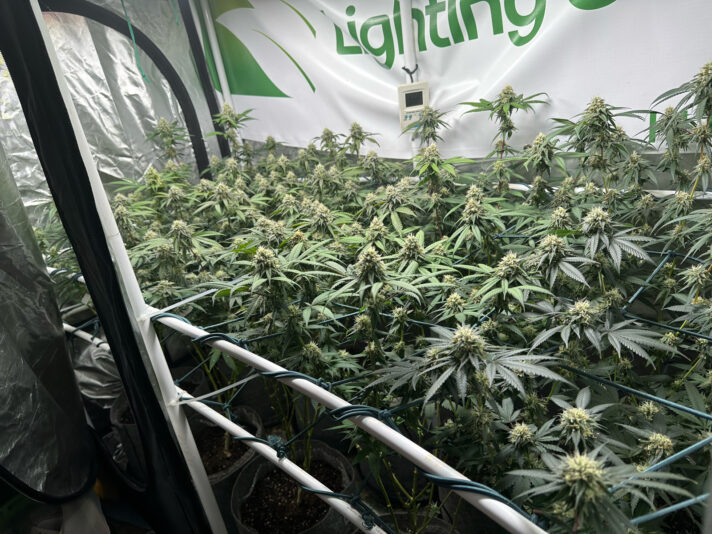 EB40E238-4F00-4CDB-B107-9A872C154D58