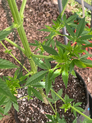 7341FA36-C806-4B7C-B460-DBD93B8C648B