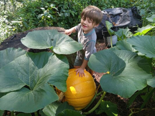 2c11553a-080c-49e0-8dc9-0380a602f3ec