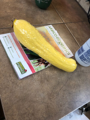 3957E6E9-B9E0-4A52-AB6B-02C26BB19B87