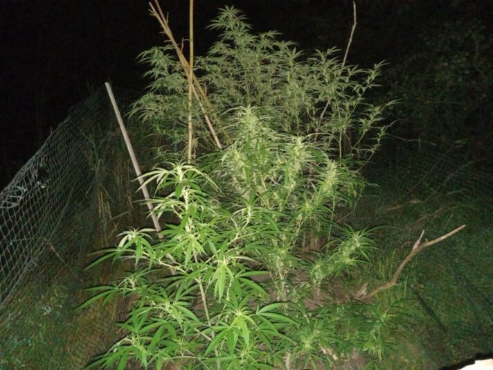 dc4fcf80-dcad-4510-9cce-ca20931c3be8