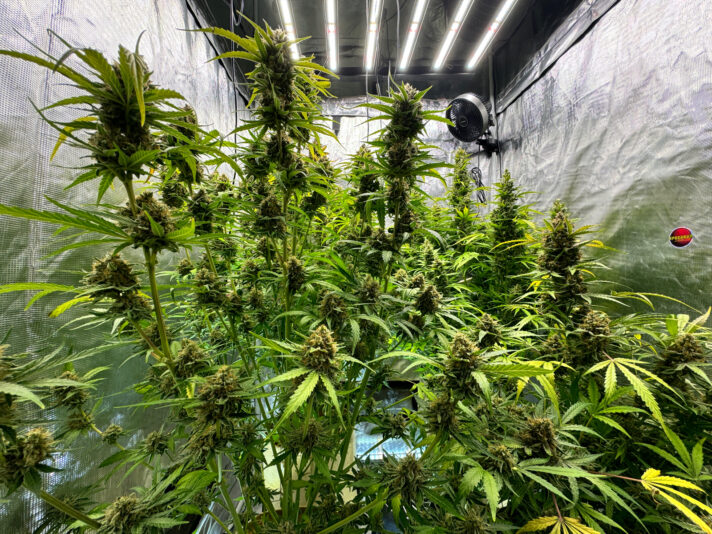 5C04D33D-C256-4DC0-88CE-9FB0FBCBF620