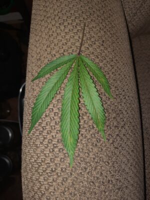 33e443c2-11f4-488f-a64e-7d2e0638486c