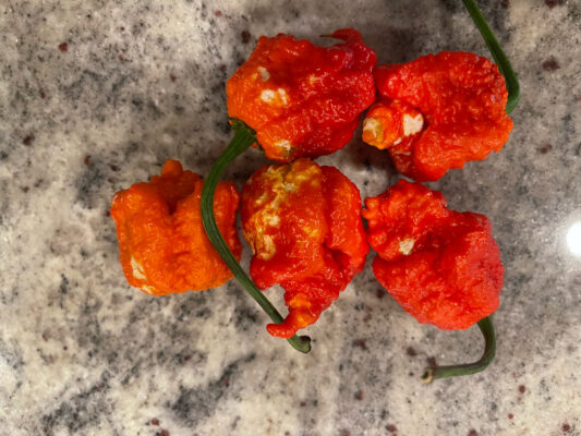 530D07B2-D28A-4895-88B3-66915554D1AF