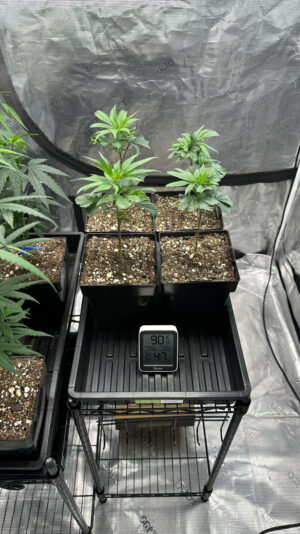 31F68CA0-6BCA-48A9-89FA-43EF020D3F3A